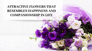 Attractive-Flowers-that-Resembles-Happiness-and-Companionship-in-Life-1