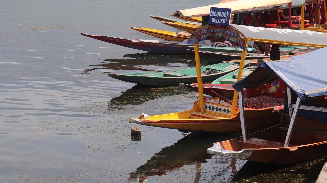 Srinagar summer vacation